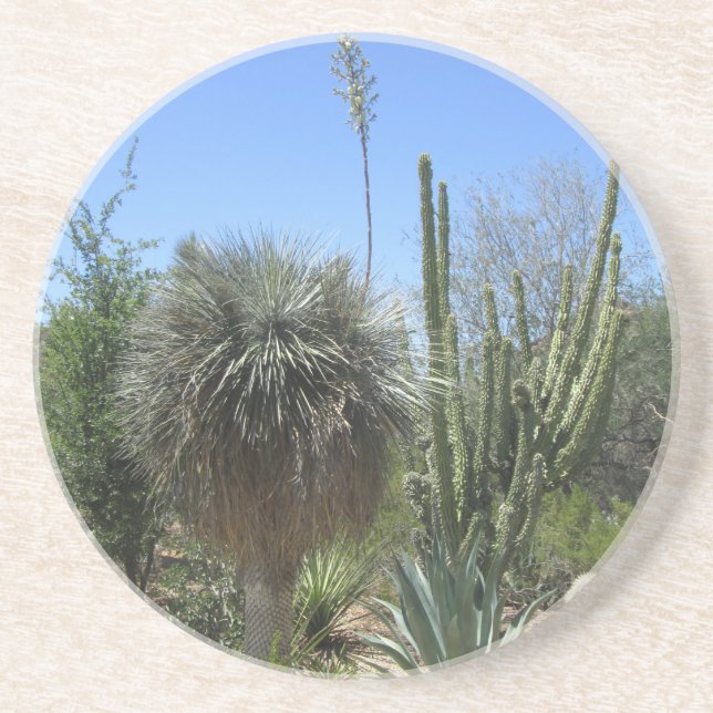 Cactus Garden Underlägg (Framsidan)