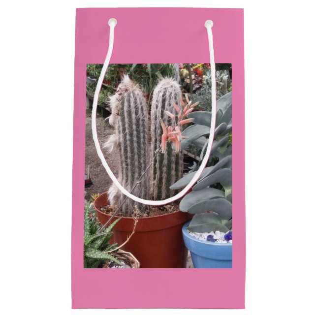 Cactus Gift Bag (Framsidan)