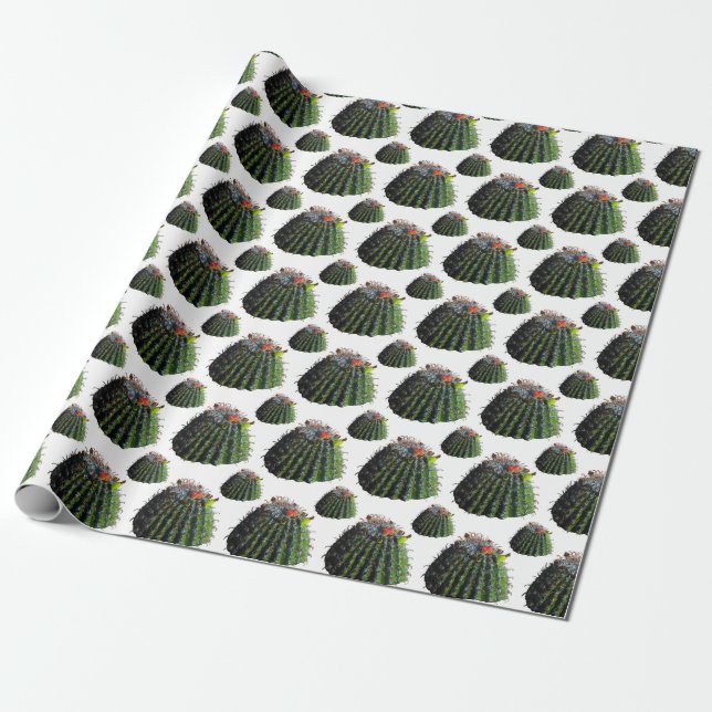 Cactus Gift Wrapping Papper Presentpapper (Utrullad)