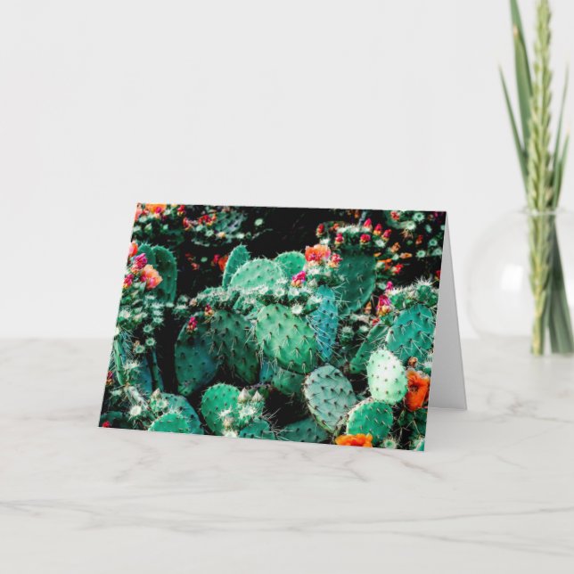 Cactus Greeting Card Kort (Framsida)