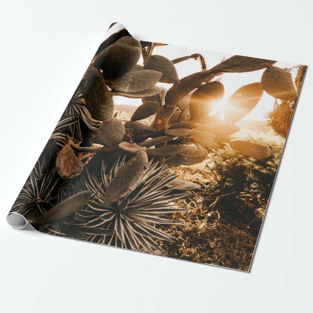 CACTUS I MORING PRESENTPAPPER (Utrullad)