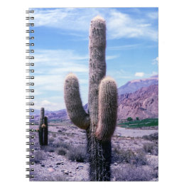 Cactus in Jujuy Province - norra Argentina Anteckningsbok