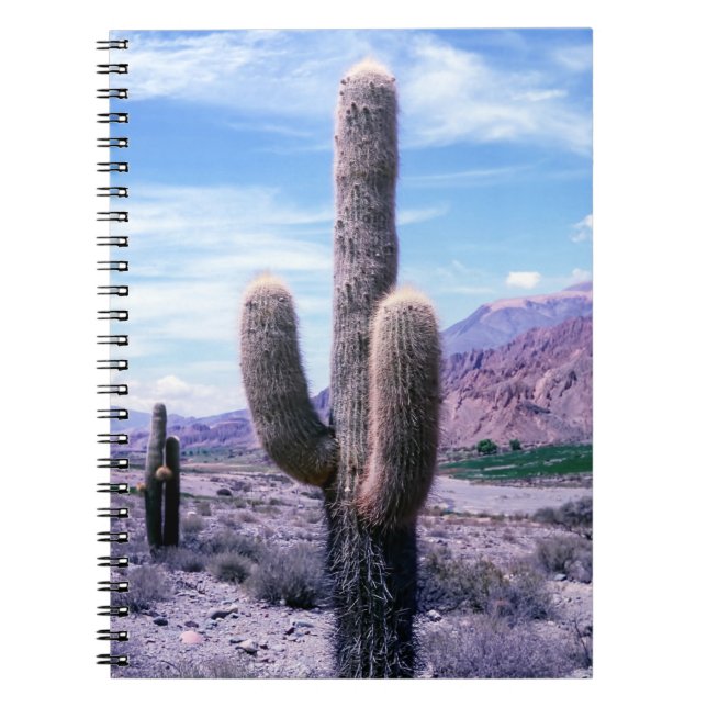 Cactus in Jujuy Province - norra Argentina Anteckningsbok (Framsidan)