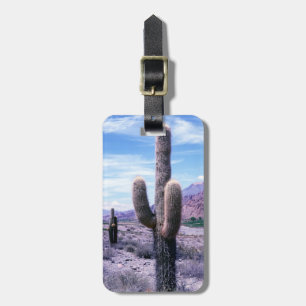 Cactus in Jujuy Province - norra Argentina Bagagebricka