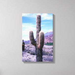Cactus in Jujuy Province - norra Argentina Canvastryck