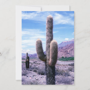 Cactus in Jujuy Province - norra Argentina Inbjudningar