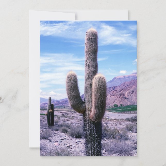 Cactus in Jujuy Province - norra Argentina Inbjudningar (Framsida)