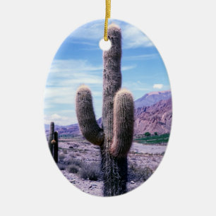 Cactus in Jujuy Province - norra Argentina Julgransprydnad Keramik