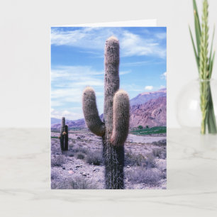 Cactus in Jujuy Province - norra Argentina Kort
