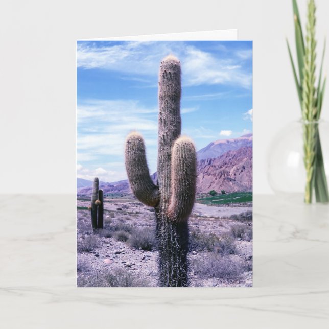 Cactus in Jujuy Province - norra Argentina Kort (Framsida)