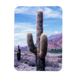 Cactus in Jujuy Province - norra Argentina Magnet