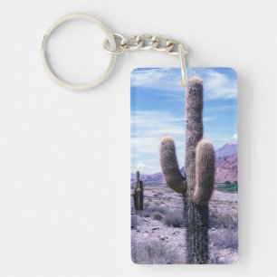 Cactus in Jujuy Province - norra Argentina Nyckelring