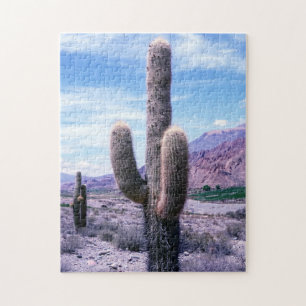 Cactus in Jujuy Province - norra Argentina Pussel