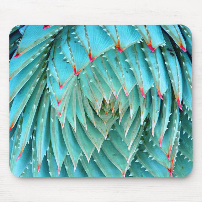 Cactus in Red & Aqua Nature Fine Art Musmatta (Framsidan)