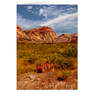Cactus in the Desert, Southwest, Blank Inside Hälsningskort