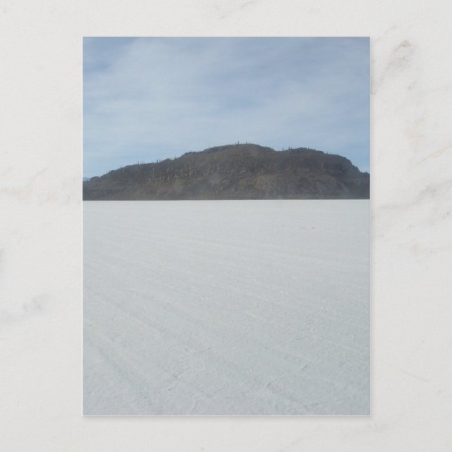 Cactus Island Vykort (Framsida)