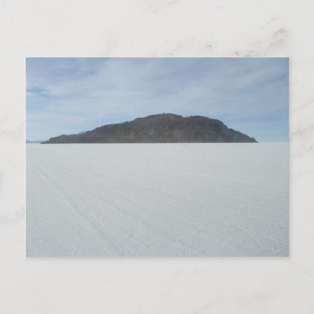 Cactus Island Vykort (Framsida)