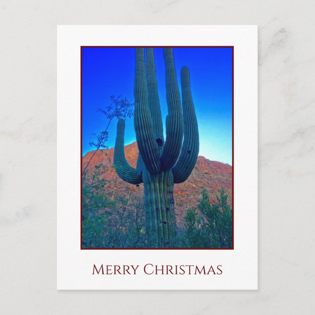 Cactus jul-Helgdag Card Helg Vykort (Framsida)