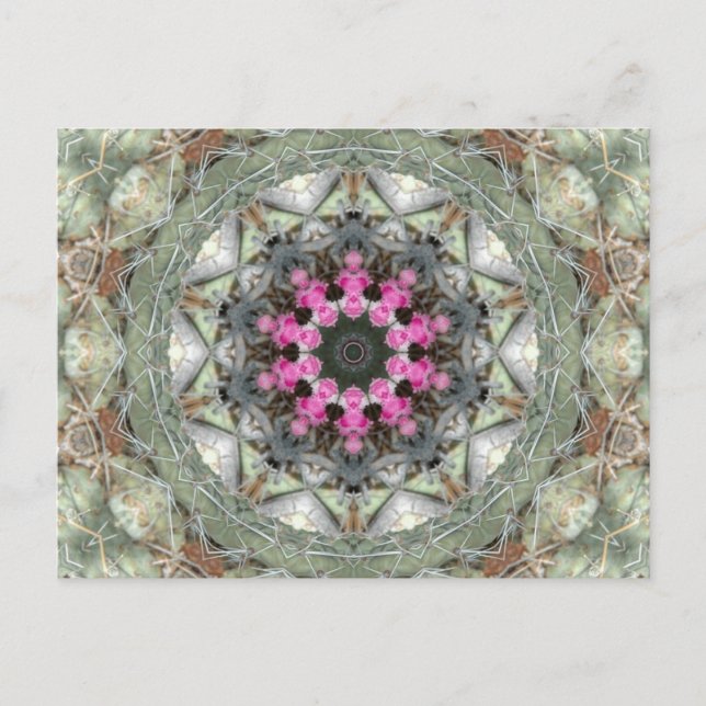 Cactus Kaleidoscope Vykort (Framsida)
