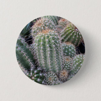 Cactus Knapp