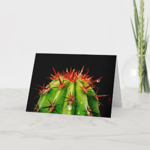 Cactus Kort