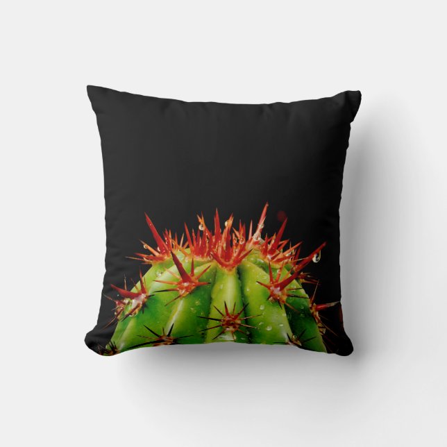 Cactus Kudde (Framsida)
