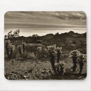 Cactus liggande musmatta