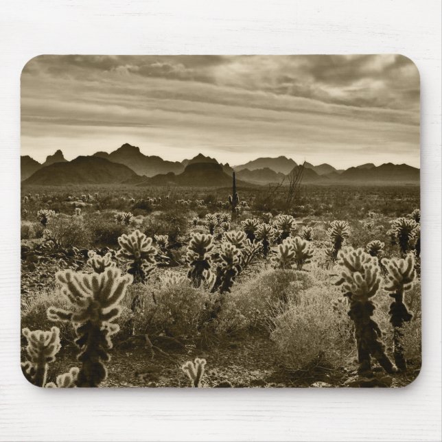 Cactus liggande musmatta (Framsidan)