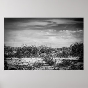 Cactus liggande poster