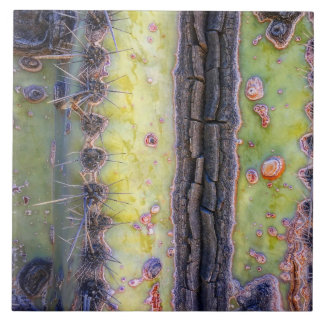 Cactus Macro Ceramic Tile Kakelplatta