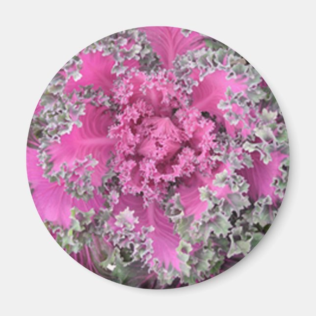 Cactus Magnet (Framsidan)