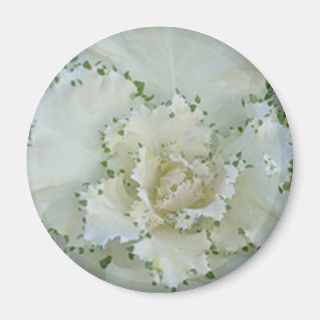 Cactus Magnet (Framsidan)