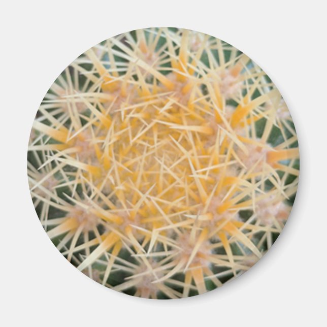 Cactus Magnet (Framsidan)