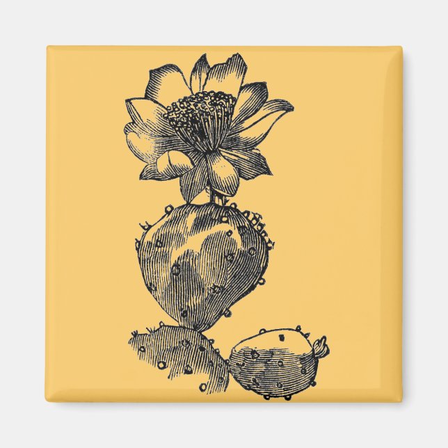 Cactus Magnet (Framsidan)