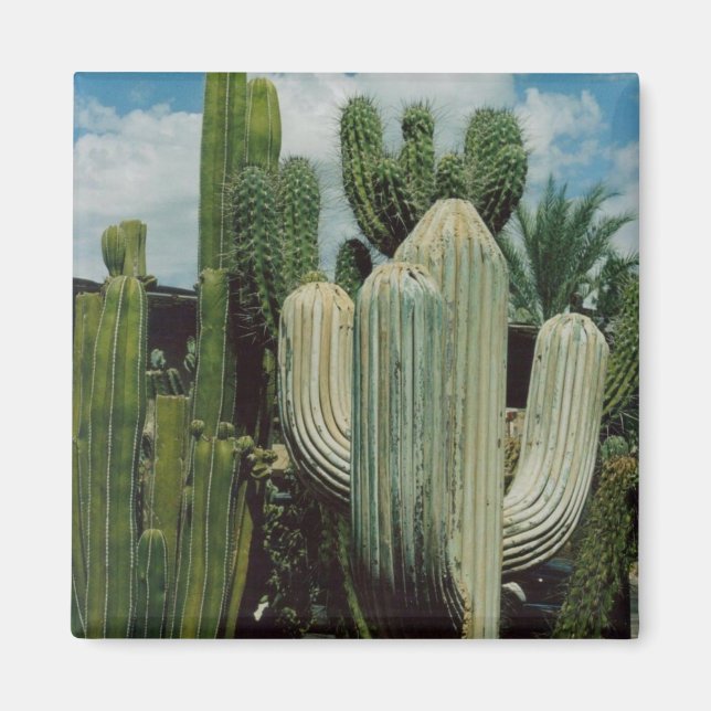 Cactus Magnet (Framsidan)