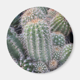 Cactus Magnet