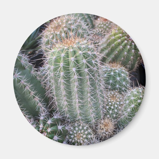 Cactus Magnet (Framsidan)