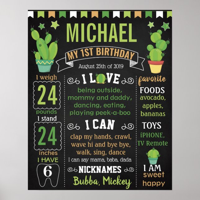 Cactus mexican Fiesta Birthday Board Poster (Framsidan)