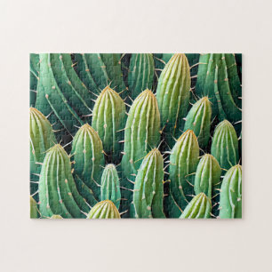 Cactus Mönster 1 The Daily Jigszawa puzzle Nyligen Pussel