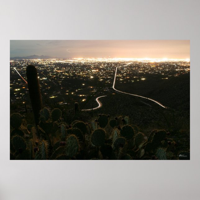 Cactus Night Ljus Poster (Framsidan)