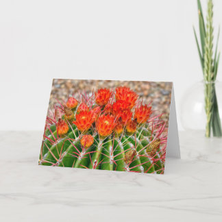 Cactus Notecard - Blooms of Arizona Kort