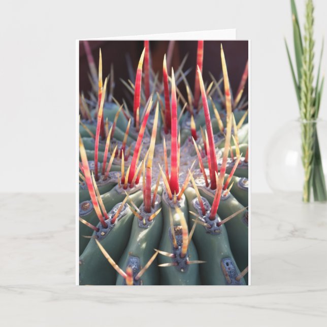 Cactus notecard kort (Framsida)