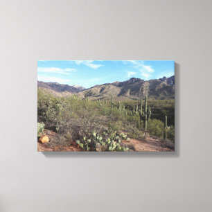 Cactus och Catalina Mountains i Tucson, Arizona Canvastryck
