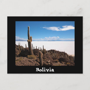 Cactus och Salar de Uyuni-vykort Vykort