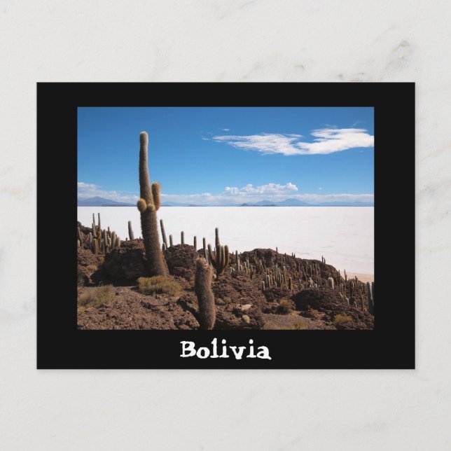 Cactus och Salar de Uyuni-vykort Vykort (Framsida)