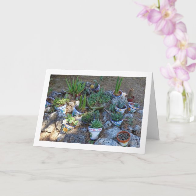 Cactus och Succulent Plant Rockery Kort (Orkide)