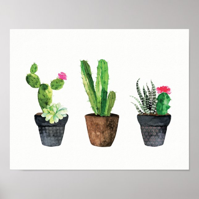 Cactus och Succulent Trio Two Poster (Framsidan)