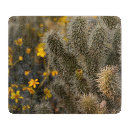 Cactus och Wildblommor