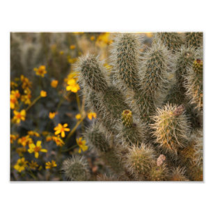 Cactus och Wildblommor Fototryck