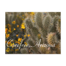 Cactus och Wildblommor i Carefree, Arizona